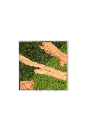 Silva 2 Color Moss and Olive Wood Wall Art – Framed Metal Decor Panel