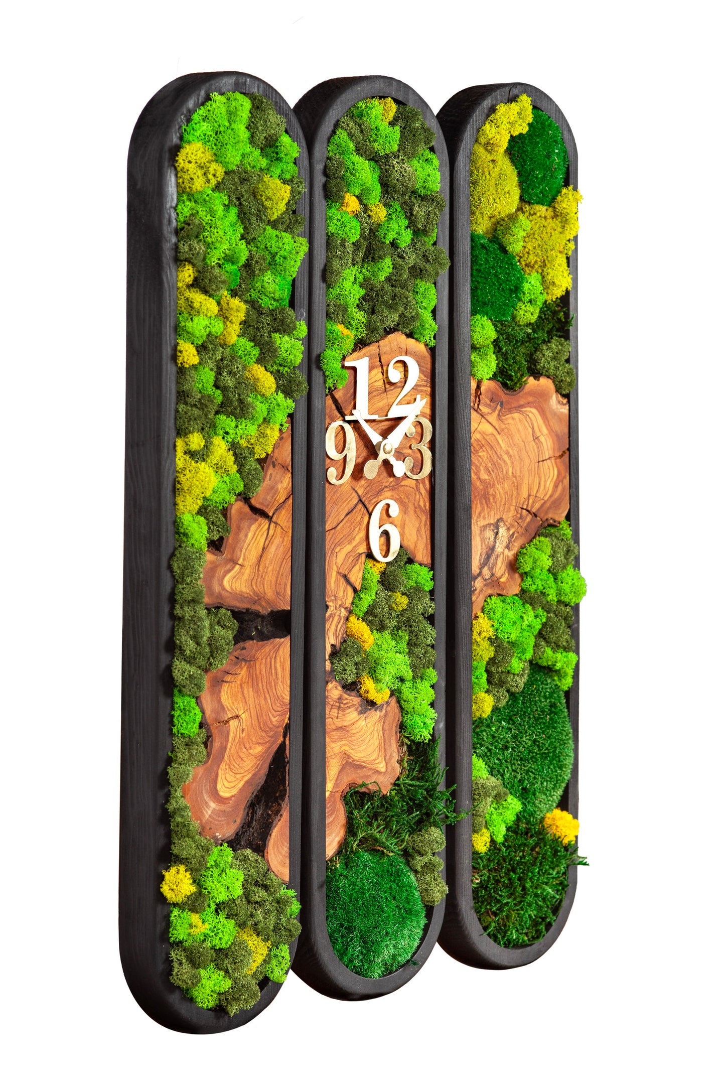 Chronos Moss Moss and Olive Wood Wall Clock