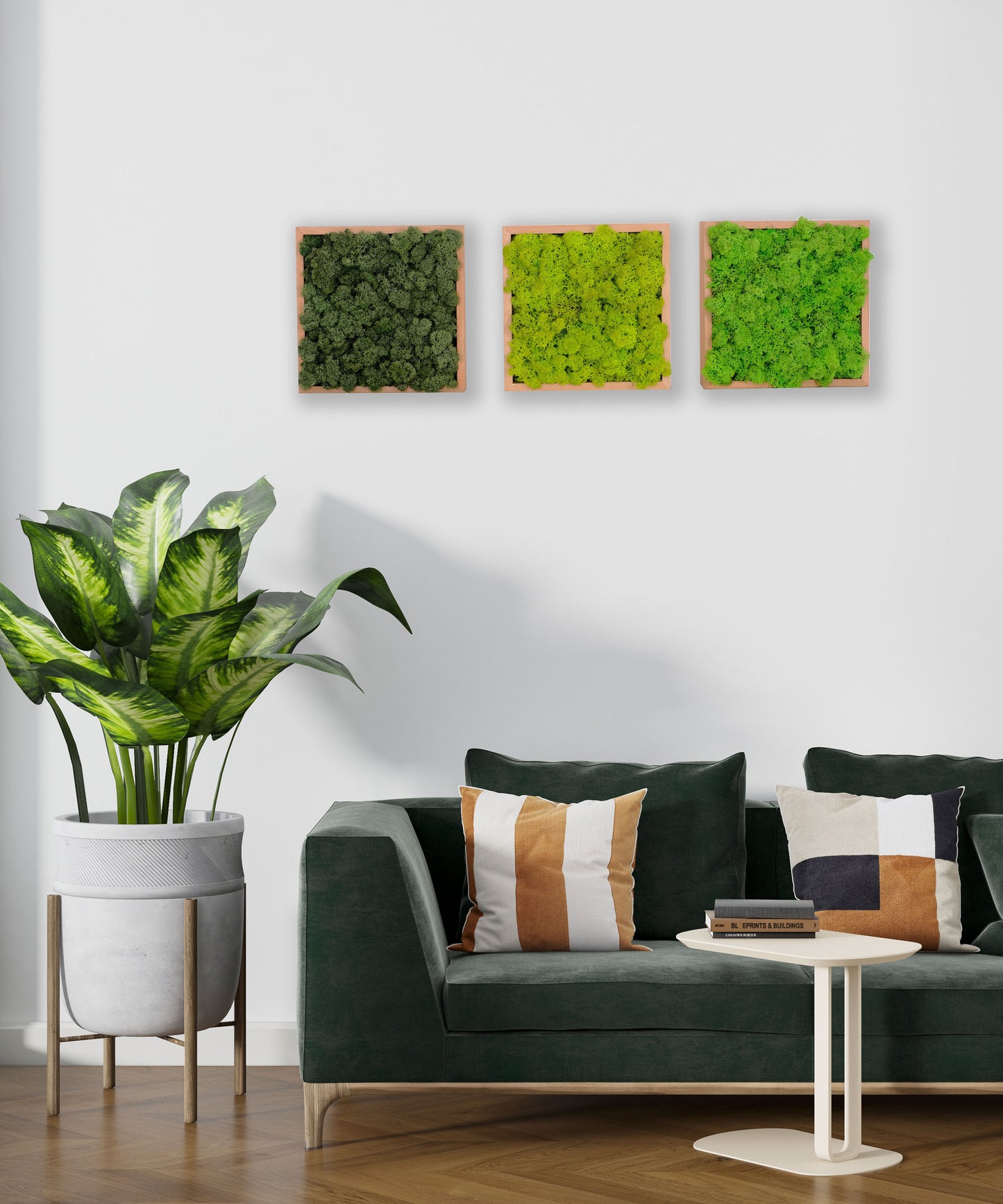 Quadratus Moss Ahşap Çerçevede Canlı Yosun Tablo Dark