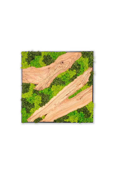 Silva 3 Colored Moss and Olive Wood Wall Art – Framed Metal Decor Panel