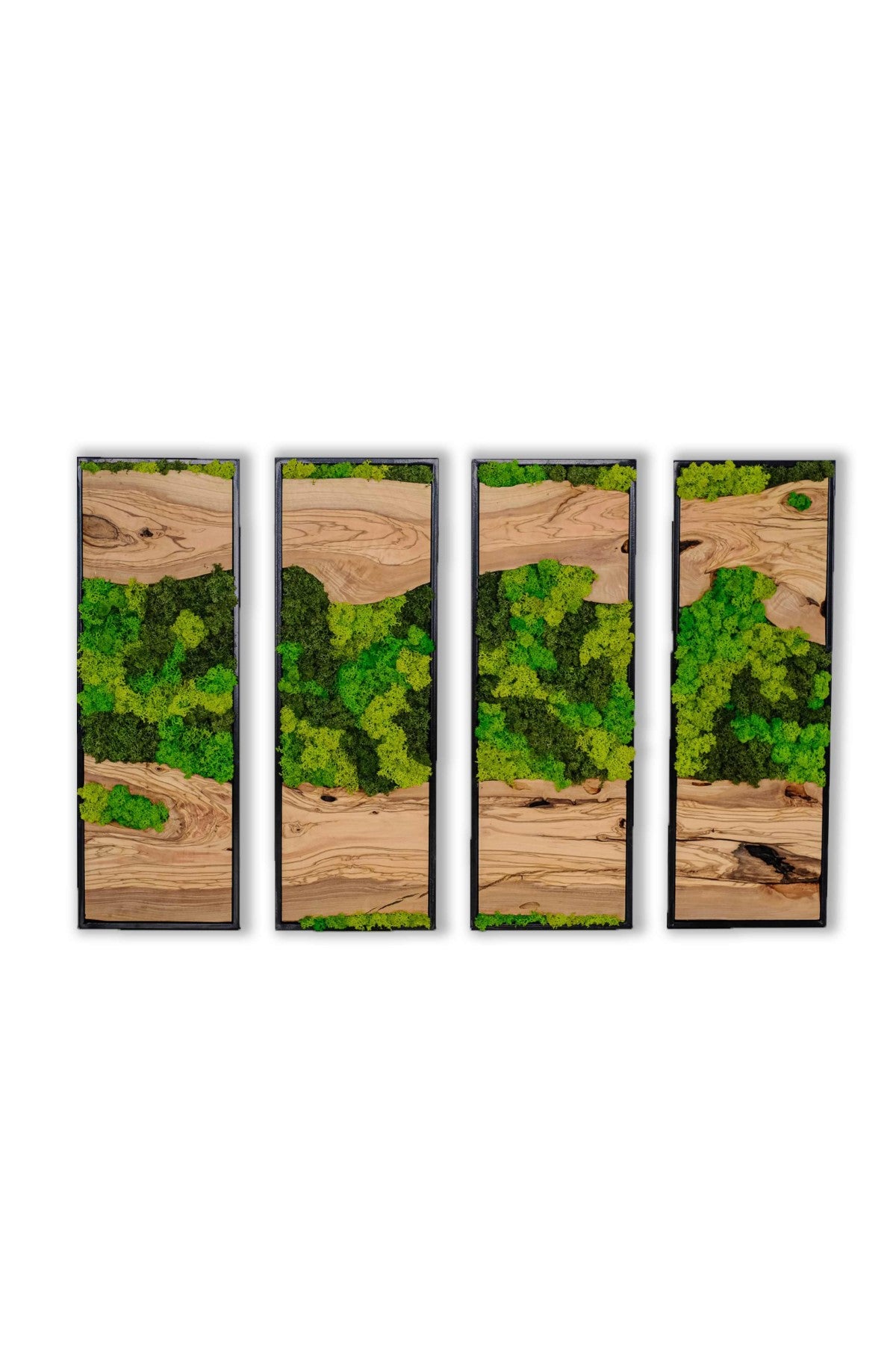 Silva Island Zeytin Dilimi ve Canlı Yosundan El Yapımı Ahşap Duvar Tablosu