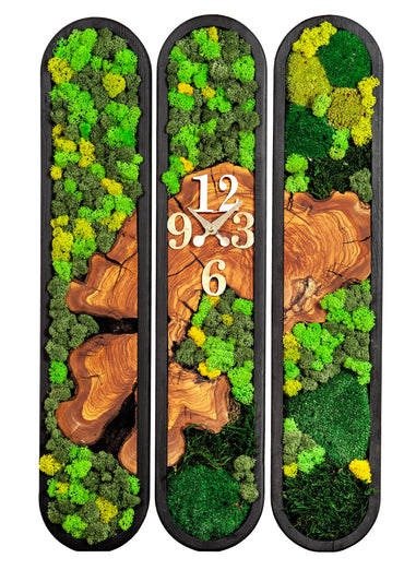 Chronos Moss  Moss and Olive Wood Wall Clock