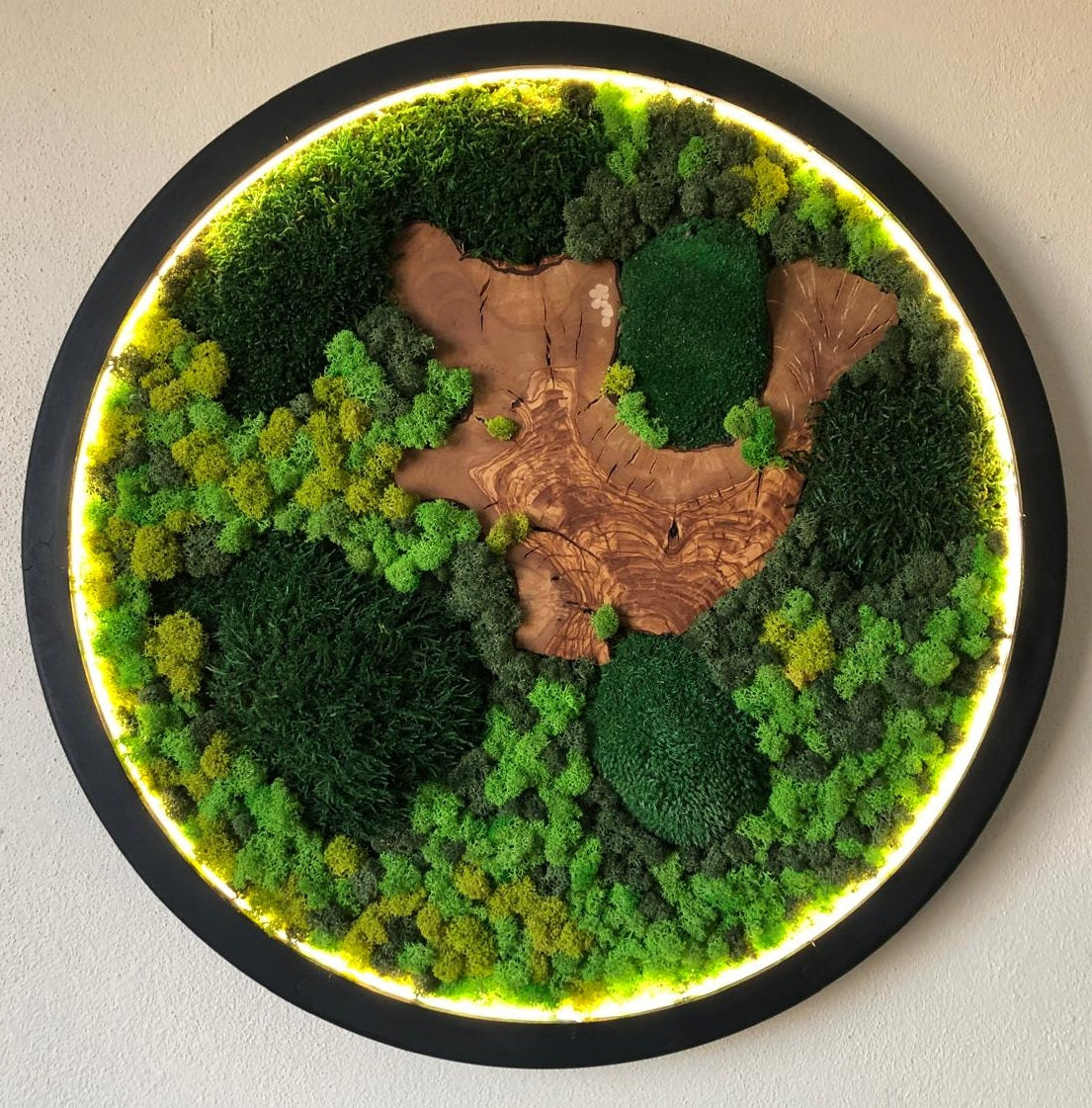 Botanica Shine LED'li Yosun ve Ahşap Duvar Tablosu