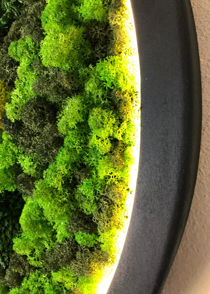 Botanica Shine LED'li Yosun ve Ahşap Duvar Tablosu